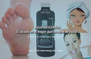 El aliado en el hogar que no debe de faltar.