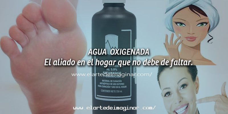 El aliado en el hogar que no debe de faltar.