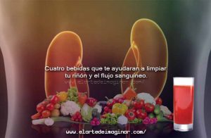 Cuatro bebidas que te ayudaran a limpiar tu riñón y el flujo sanguíneo.
