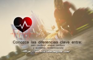 Es de suma importancia conocer los contrastes esenciales entre la insuficiencia cardíaca, el ataque cardíaco y el accidente cerebrovascular .