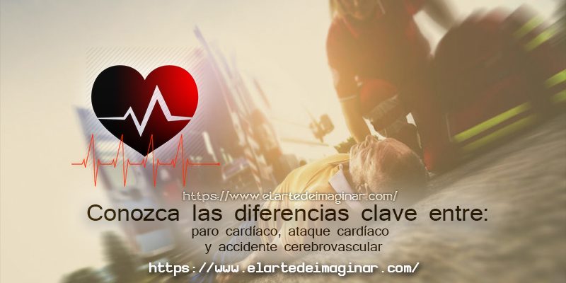 Es de suma importancia conocer los contrastes esenciales entre la insuficiencia cardíaca, el ataque cardíaco y el accidente cerebrovascular .
