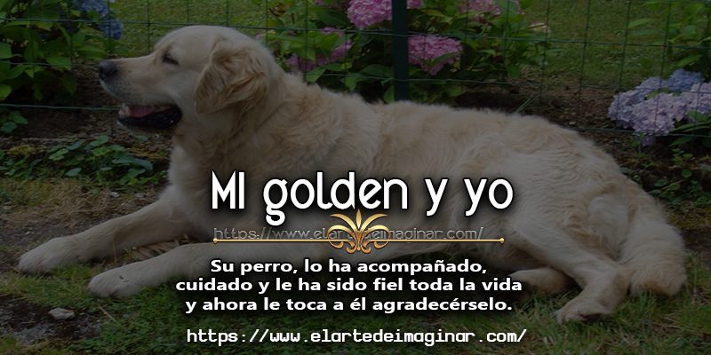 Mi golden mi mejor amigo